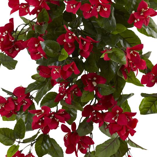 2ft Bougainvillea Hanging Bush 2ct Michaels